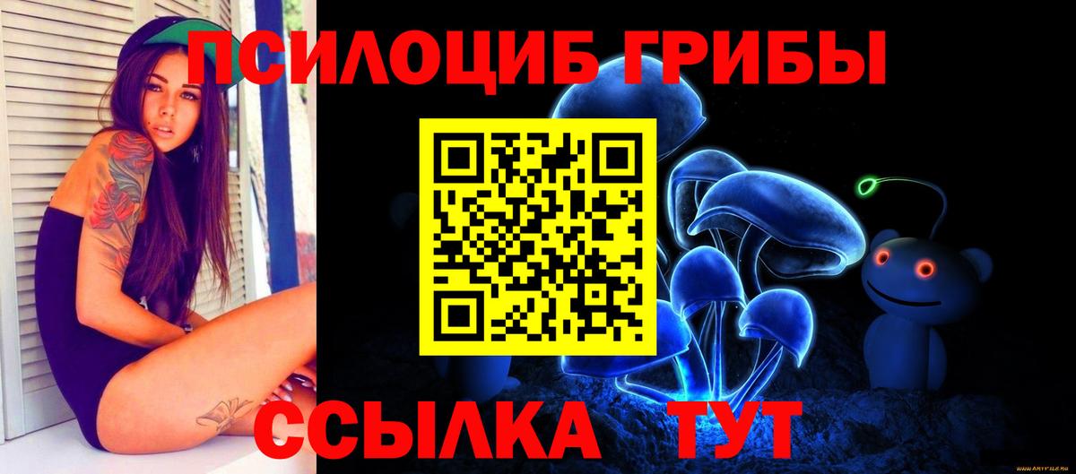 Псилоцибиновые грибы мухоморы  Вход с VPN  Сунжа 